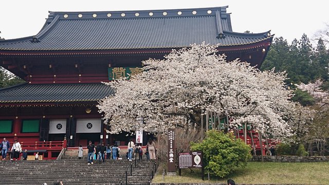 640�� ���Ƌ{�Ɨ։�����Q�@�ŌI�ΕԂ��Ƌ����� 01_���������J