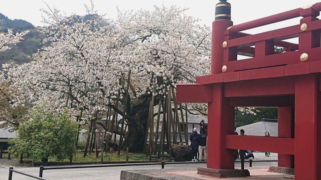 640�� ���Ƌ{�Ɨ։�����Q�@�ŌI�ΕԂ��Ƌ����� 03_�O�����O�̋�����