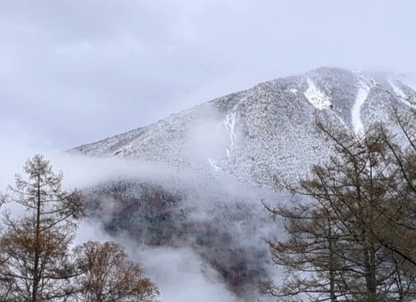 641�� ���Ẳ��������i 02_���Ăɐ�ς���5��9���ԏ��t��