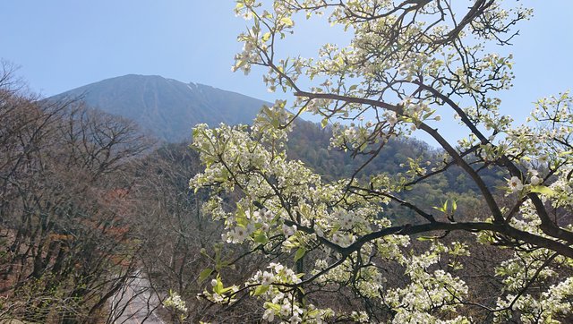 641�� ���Ẳ��������i 06_���J�̃��}�i�V�̉�10��