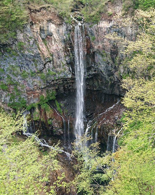 642�� �،��̑�Ɠ���̗����ʑΔ� 01_�،��̑ꖈ�b0.3?������12��