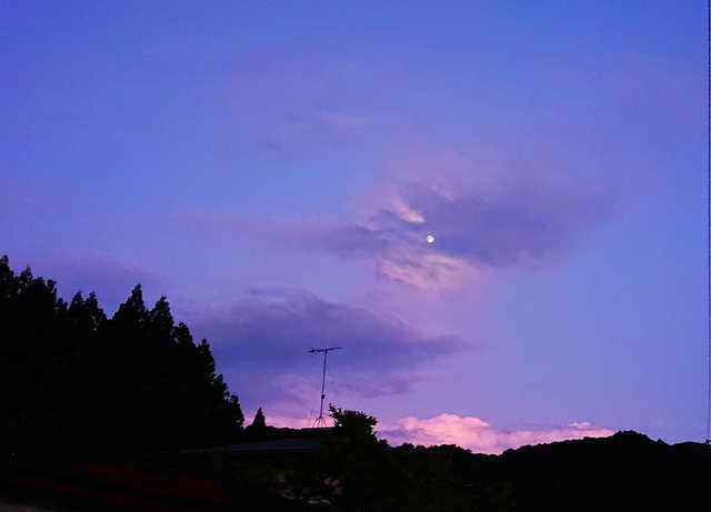 644�� ���������Ă̖K��Z�~�̐� 03_����19�F14