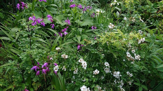 645�� ���Ẳ��������R�̂���� 04_�炫�����