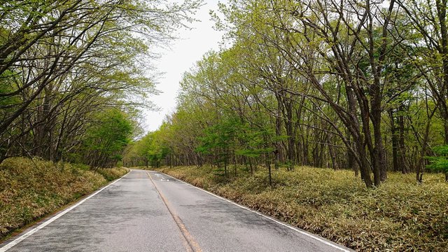 645�� ���Ẳ��������R�̂���� 06_�V�Ή萁���~�Y�i��