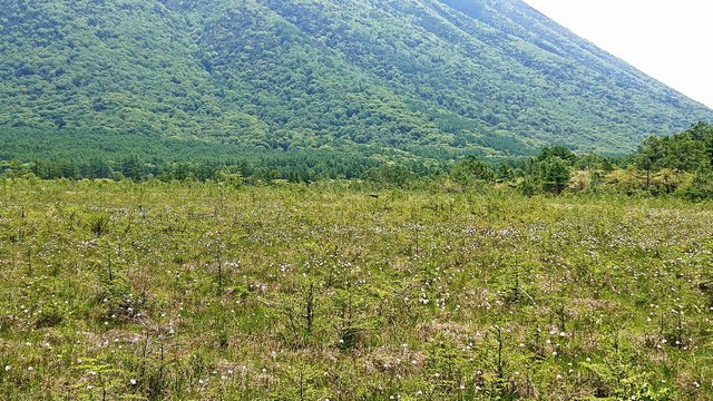 646�� �������͔~�J�̂Ȃ��u�₩�ȉ� 04_���^�X�Q�L����