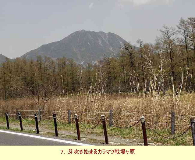 647 ʐ^Ōꃖ̍ 02_Y~̂Ȃꃖ