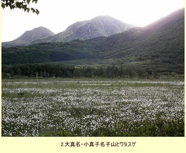 647 ʐ^Ōꃖ̍ 06_201406Y~ 