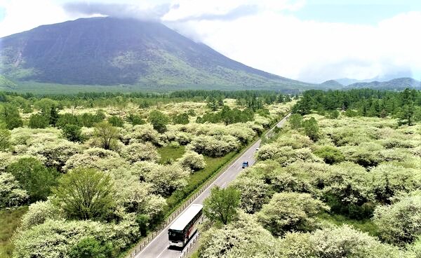 647�� �ʐ^�Ō����ꃖ���̍��� 08_2020�N��ꃖ���Y�~ 