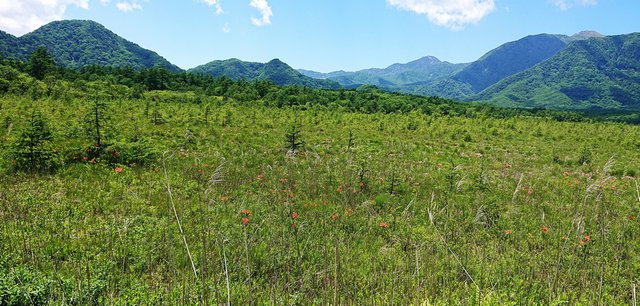 647�� �ʐ^�Ō����ꃖ���̍��� 10_202406�B�e���݂̐�ꃖ���������