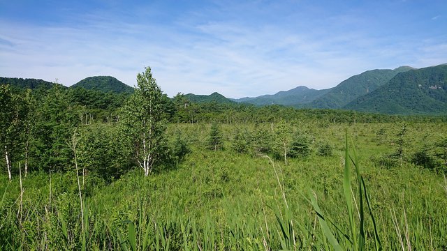 648�� 5�N�Ԃ�Ɍ����q��ĊJ 03_�V���̐�ꃖ��