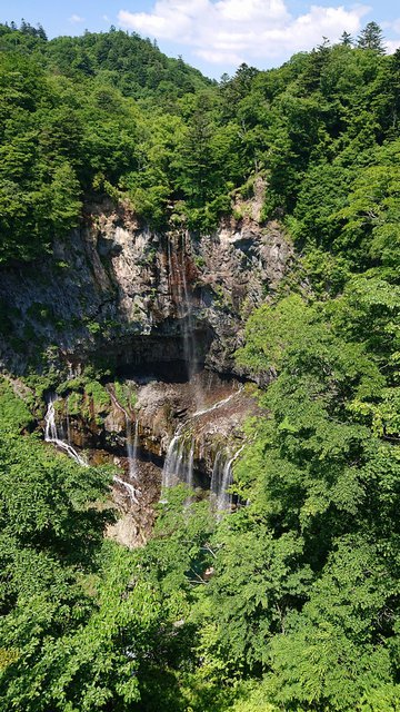 649�� �~�J�����̉����� 01_���ɂȂт��O�؂̗���0.1?6��20��