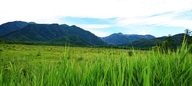 649�� �~�J�����̉����� 04_�~�J�����̐�ꃖ���������