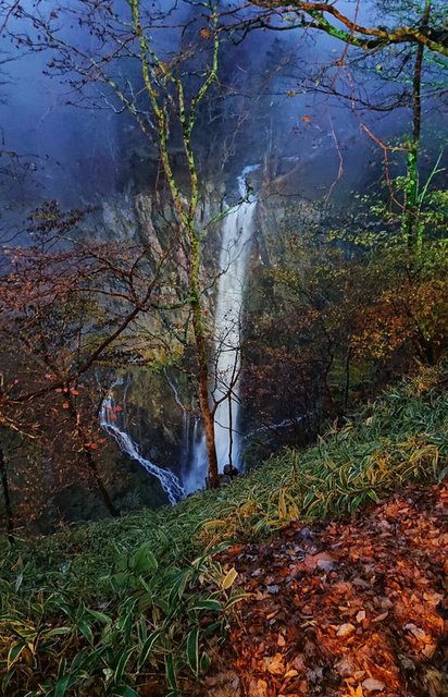 663�� �P��̉،��̑ꃉ�C�g�A�b�v�n�܂� 01_���C�g�A�b�v����16��12��