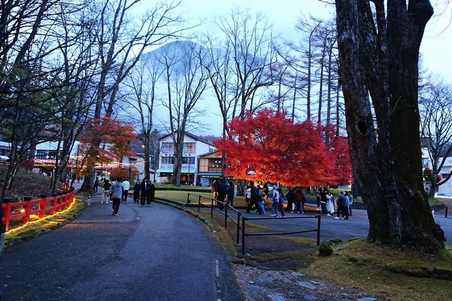 664�� �[�łɕ����ԉ،��̑�ƃ��C�g�A�b�v�̓d���́H�H 02_���C�g�A�b�v���ւ̗U���H