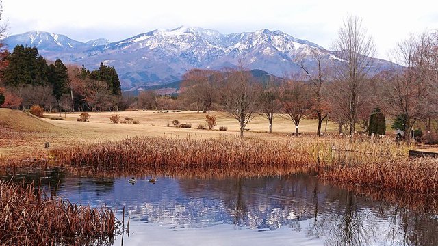 665�� �t���̓����A�R�Ə�q�̒��ւ� 01_�t���̘A�R