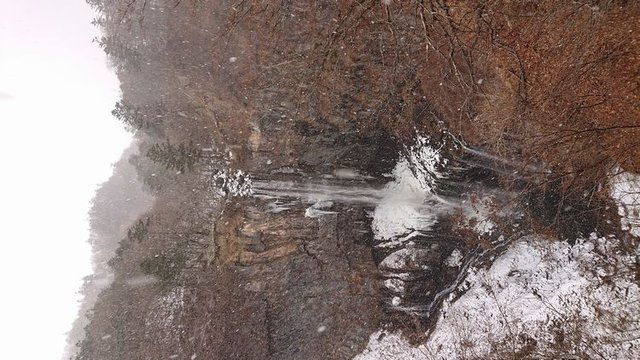 667�� �V�N���E����2024�N���琼��2025�N�� 06_�N���̉،��̑�