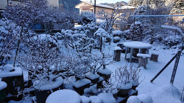 668�� �V�N���ϐ� _��̐�i�F�i������j