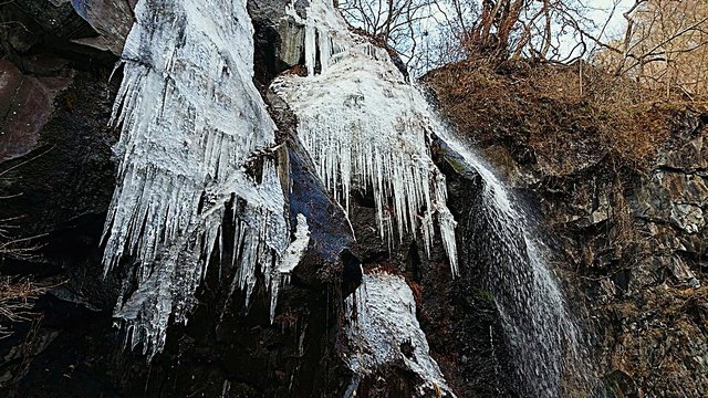 669�� �~�̕X�|�p�r��{�� 03_�����̑ꉡ�X��2