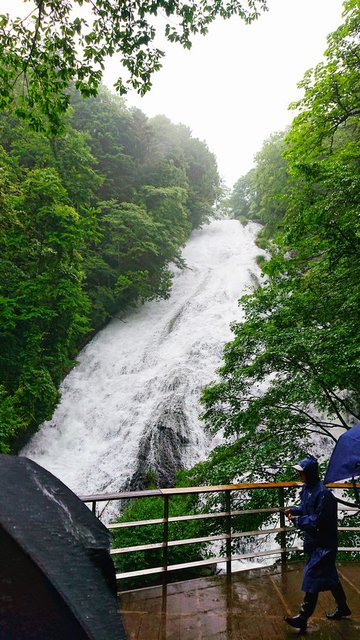 687�� �����ɗ��ꗎ���铒�� 01_�����Ȑ��ʂ̓���