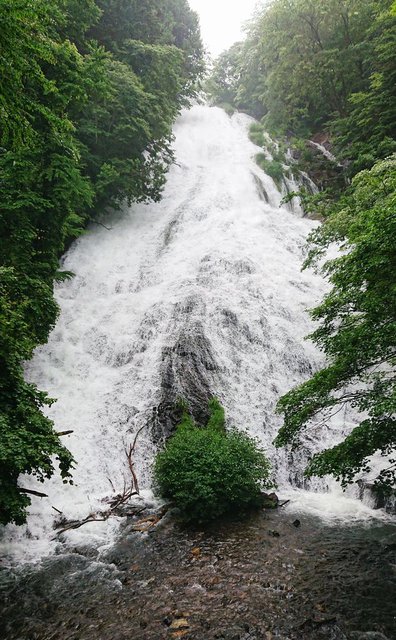 687�� �����ɗ��ꗎ���铒�� 02_�����ȗ����̓���