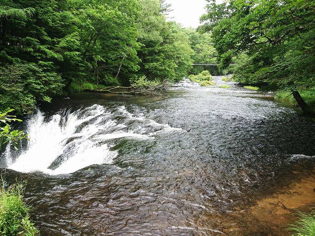 690�� �����������������̑� 01_���삩�痴���̑ꗎ����