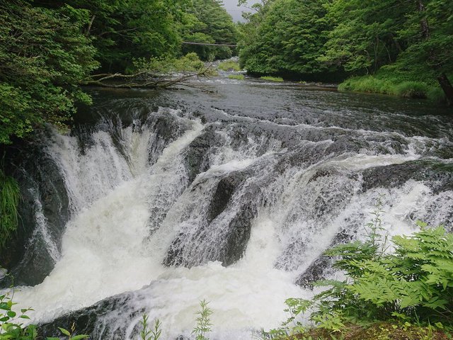 690�� �����������������̑� 02_�����ꗎ����