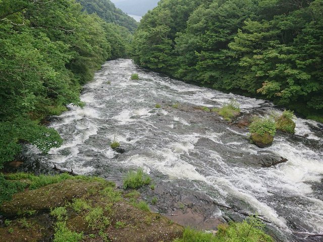 690�� �����������������̑� 03_������㋴����