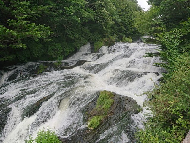 690�� �����������������̑� 04_�����ꒆ�i