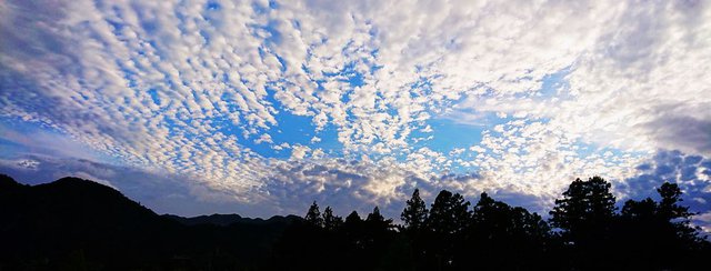 700�� �����̏H�_�ƎO�J������B�����[�Ă��_ 02_�����A�R��ɍL����H�_