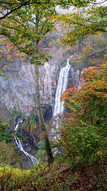 701�� �g�t�����̉������O���e 01_�،��̑�