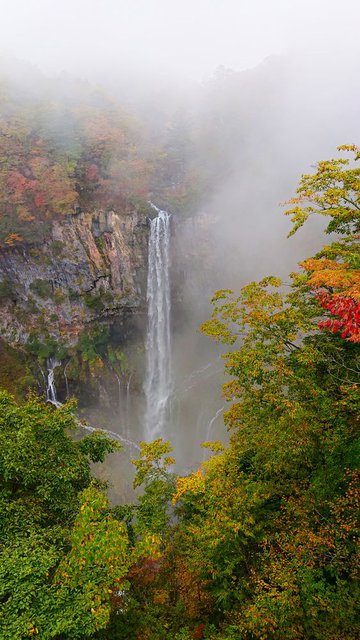 701�� �g�t�����̉������O���e 02_���̉،�