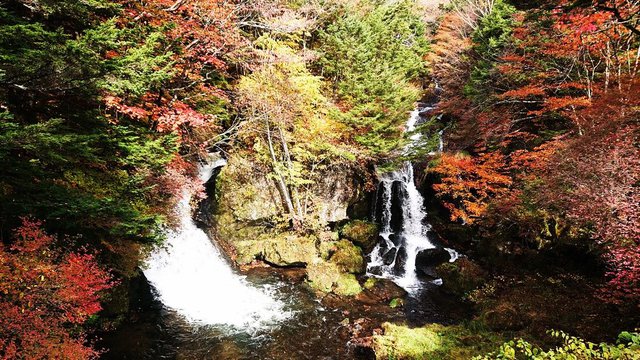 701�� �g�t�����̉������O���e 03_�����̑�̍g�t