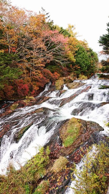 701�� �g�t�����̉������O���e 04_�����ꒆ�i