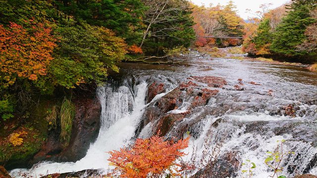 701�� �g�t�����̉������O���e 05_�������