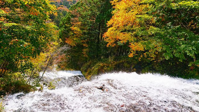 701�� �g�t�����̉������O���e 07_������̍g�t