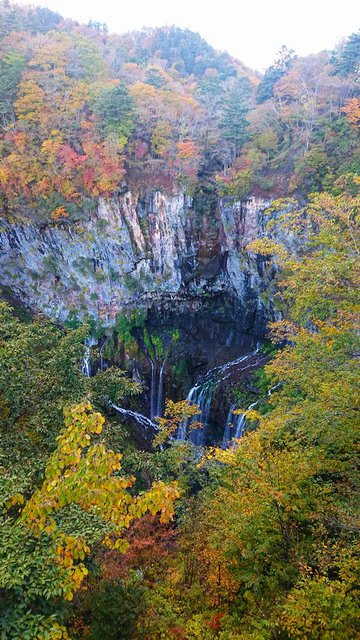 702�� �����̕x�m�R���] 06_���������̉،�