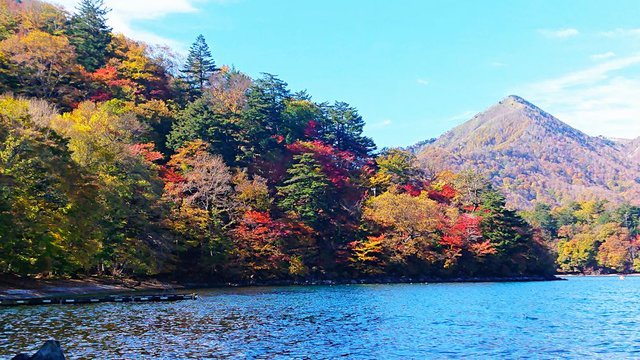 703�� �����R������ƐF�Z���Ȃ锪���o�� 02_�ΔȂ̍g�t