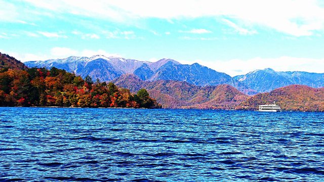 703�� �����R������ƐF�Z���Ȃ锪���o�� 03_�ΐ��̕��i