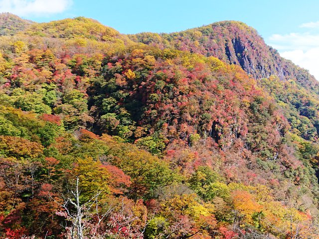 703�� �����R������ƐF�Z���Ȃ锪���o�� 06_?����̍g�t