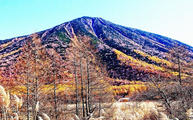 705�� �ӏH�̉������ޕ����� 06_���{�O��J���}�c�A�ђj�̎R