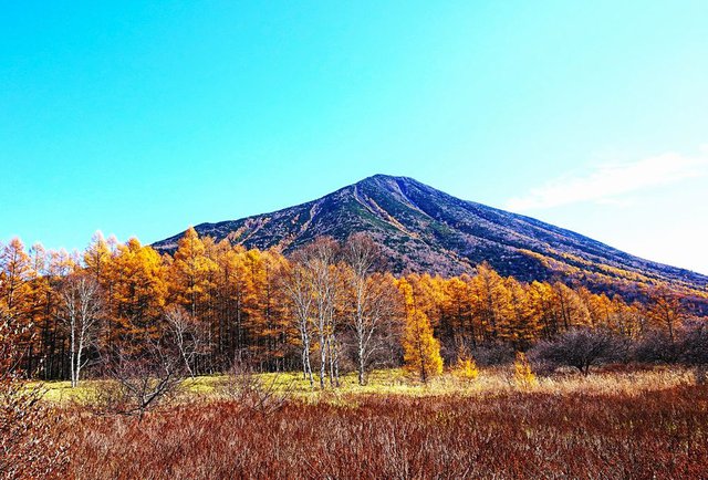 705�� �ӏH�̉������ޕ����� 07_�J���}�c�������L����