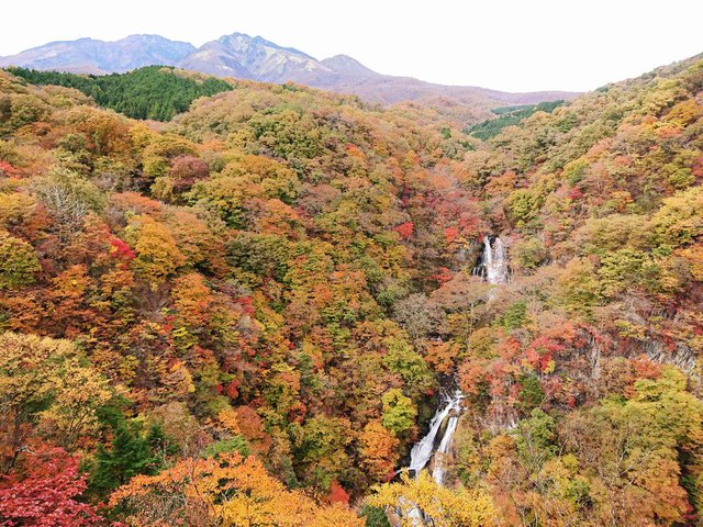 706�� �u���~�̑�v�g�t�����ƂȂ��Ă��܂��� 01_�����A�R�Ɩ��~��