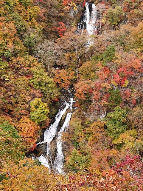 706�� �u���~�̑�v�g�t�����ƂȂ��Ă��܂��� 02_���~��