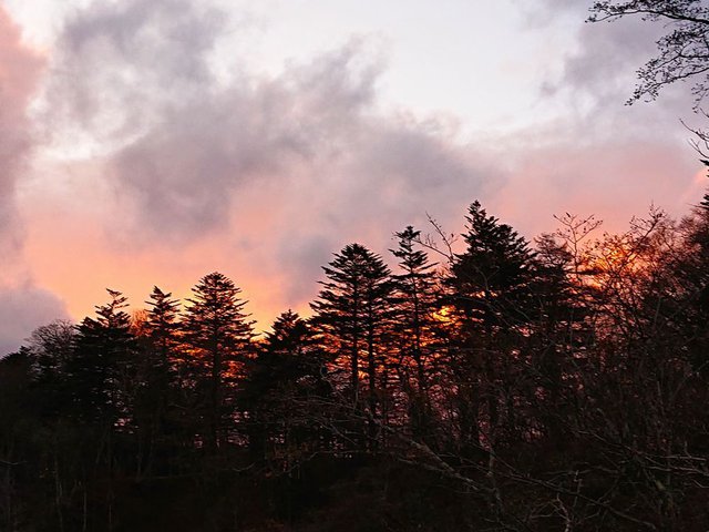 709 ᕑu،̑v 01__̗[Ă181628