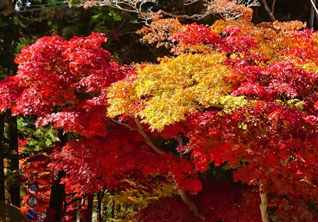 710 ̍gtHy 02_Ō̍ʂ2