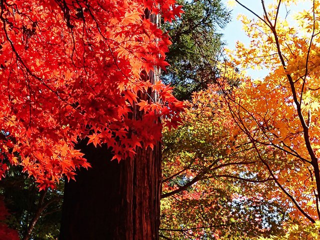 710 ̍gtHy 03_ؐƍgt1