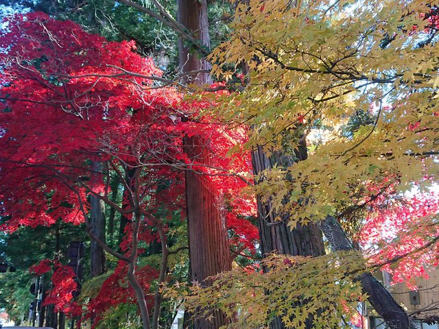 710 ̍gtHy 04_ؐƍgt2