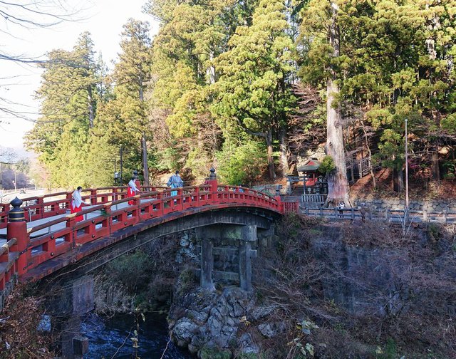 712�� �V�N�Ɍ����A�_���œ`���́u���������v02_�����P��������_�E�Ɣ�����