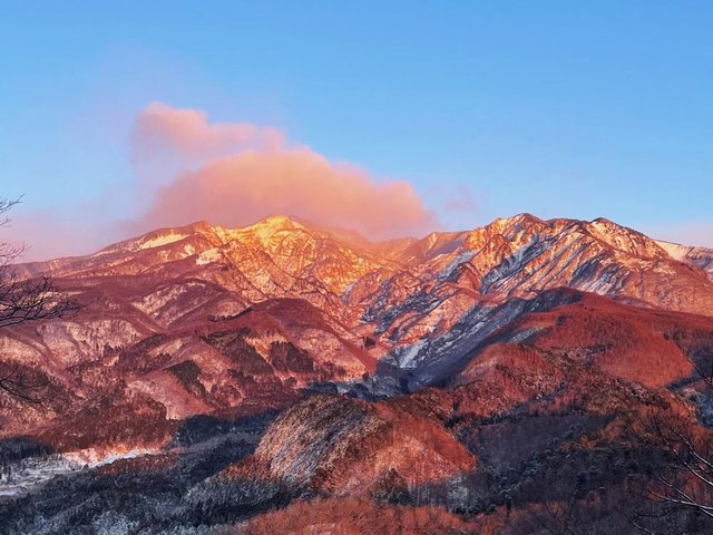 715�� 2026�N�V�t����������� 04_�����ɐ��܂鏗��R�ԓ�R