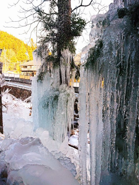 716�� �X�̑��i 03_���c����